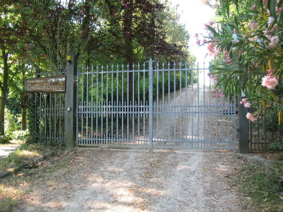 Villa In Campagna Costa Al Bagno Montopoli in Val dʼArno Exterior foto